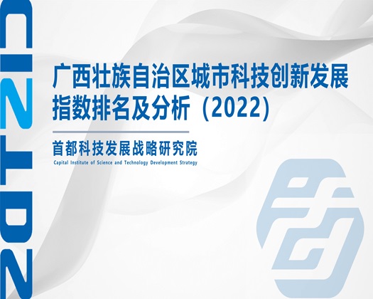 俄罗斯裸体老女人操屄精品【成果发布】广西壮族自治区城市科技创新发展指数排名及分析（2022）